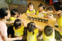 Công việc giống nhau, lương giáo viên các hạng có thể chênh hơn 10 triệu đồng