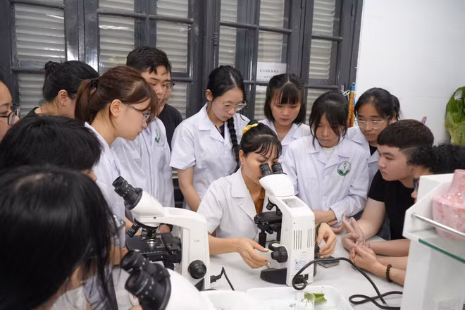 Dự kiến điều chỉnh mức học phí: Cơ sở giáo dục đại học đào tạo Y - Dược hiến kế