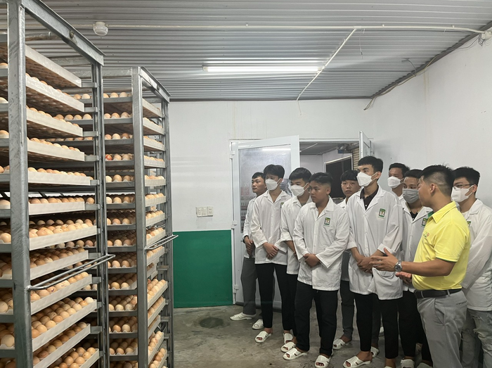 Sinh viên Trường Đại học Nông Lâm - Đại học Huế trong tiết học thực hành tại doanh nghiệp. Ảnh: NTCC a2-sinh-vien-truong-dai-hoc-nong-lam-dai-hoc-hue-trong-tiet-hoc-thuc-hanh-tai-doanh-nghiep.png