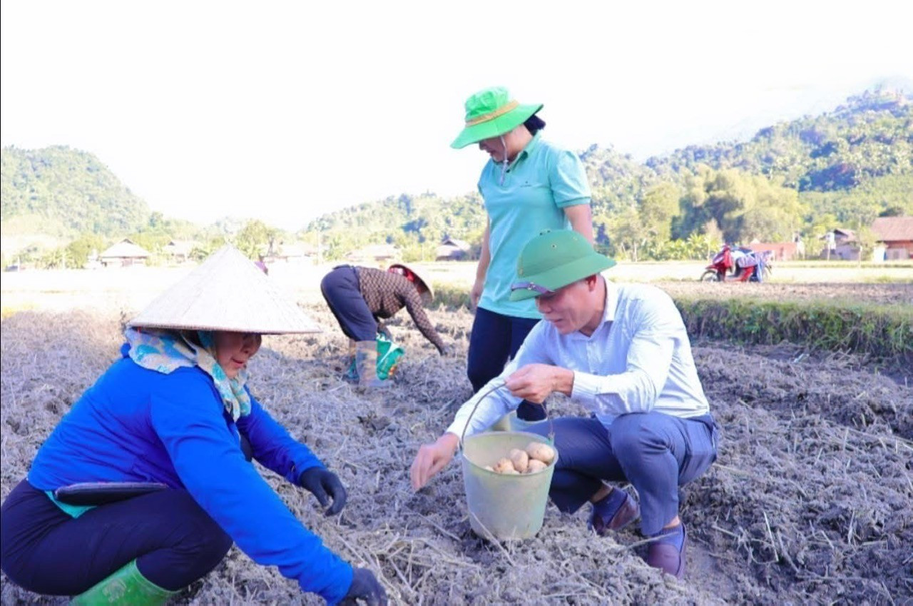 Xã Văn Bàn chú trọng đến hướng dẫn phát triển sinh kế, đào tạo nghề, chuyển giao khoa học kỹ thuật cho người dân. Ảnh: NVCC.