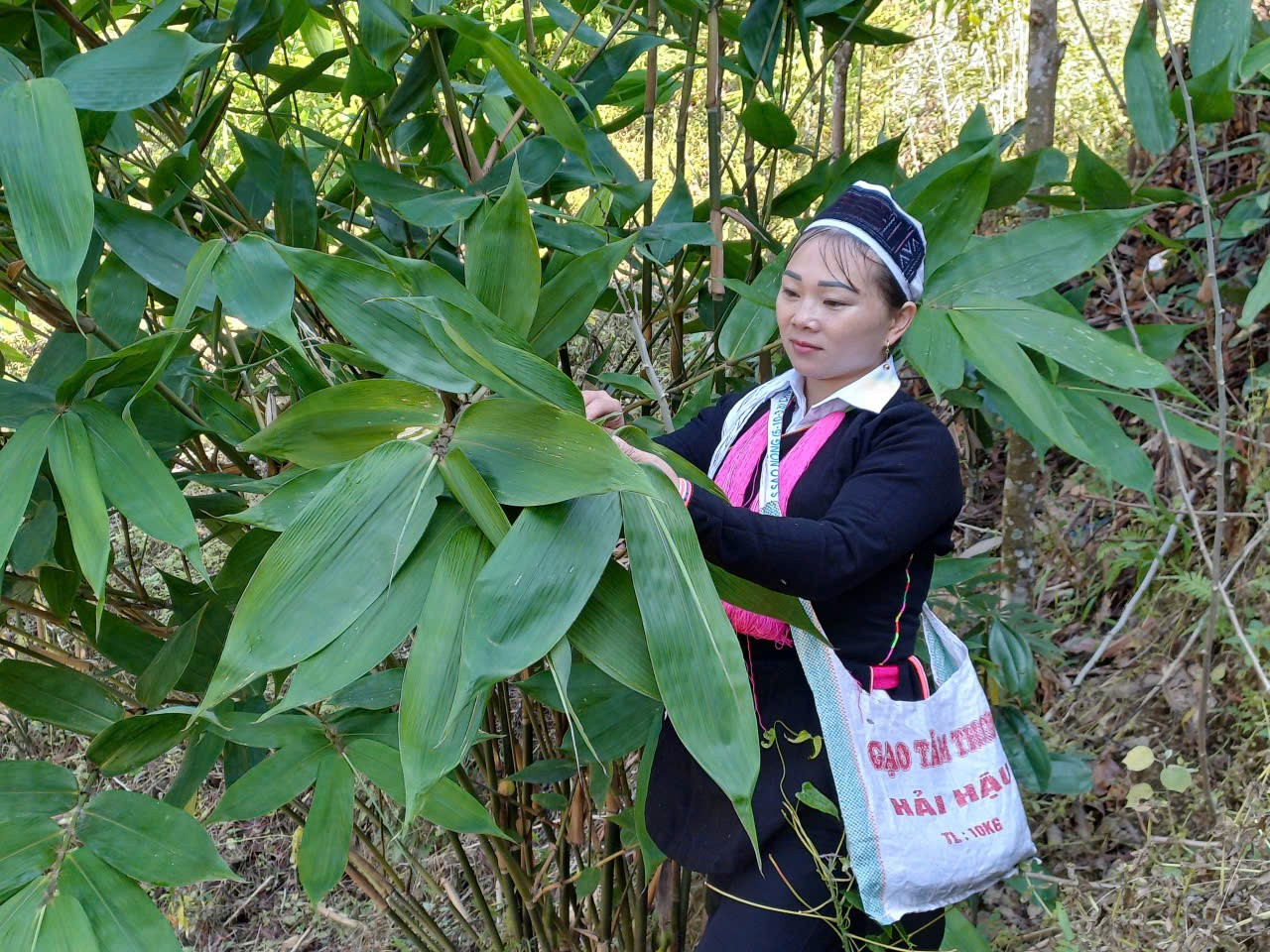 Xã đặt ra những mục tiêu cụ thể và các mũi đột phá chiến lược để tiếp tục giảm nghèo bền vững. Ảnh: NVCC.