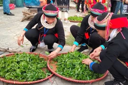 Xã Thượng Nông tích cực tuyên truyền để hộ nghèo, cận nghèo tiếp cận chính sách 