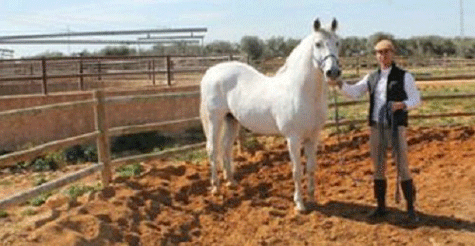 Ramos và con ngựa bạch
