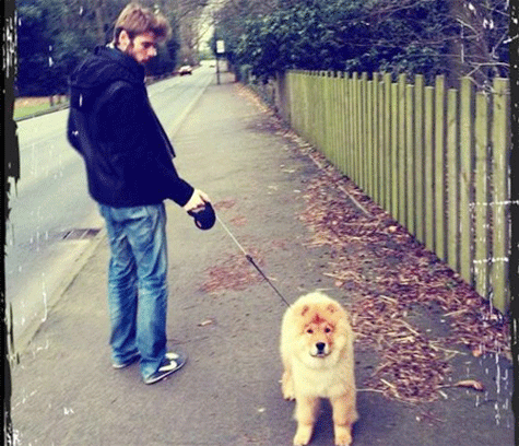 Thủ thành M.U đi dạo cùng chú cún Matxo. Ảnh: ET Thủ thành M.U đi dạo cùng chú cún Matxo. Ảnh: ET