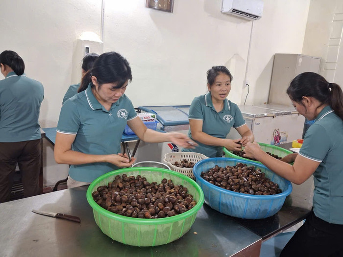 Thành viên Hợp tác xã Nông nghiệp Ba sạch Hưng Đạo trong quá trình sản xuất. Ảnh NVCC.