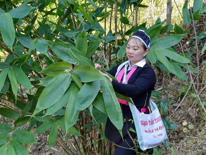 Xã đặt ra những mục tiêu cụ thể và các mũi đột phá chiến lược để tiếp tục giảm nghèo bền vững. Ảnh: NVCC.