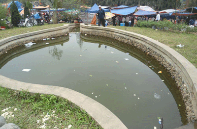Một người đàn ông đang mang túi rác ném thẳng xuống ao nước trong khuôn viên đền Hùng Một người đàn ông đang mang túi rác ném thẳng xuống ao nước trong khuôn viên đền Hùng