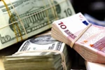 3.600 doanh nghiệp Việt kiều với 8,6 tỉ USD đang đầu tư tại Việt Nam