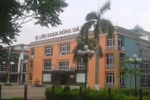 VFF: Sếp bị tố nhận hối lộ, nhân viên quyết liệt ngăn cản báo chí