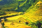"Bùng nổ" khuyến mãi vé bay kích cầu du lịch mùa thu