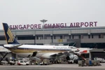 Singapore từ chối nhập cảnh, hãng hàng không Việt mất 15 tỷ đồng/năm