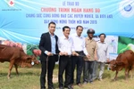 FrieslandCampina Việt Nam tặng bò cho các hộ nông dân tại tỉnh Long An