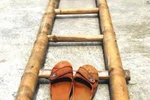 EVN và chiếc thang kỳ dị