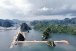 Sở TN&MT Quảng Ninh xử phạt Công ty TNHH Đỗ Gia Capital 125 triệu đồng