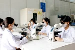 Giáo dục Đông Nam Bộ đặt mục tiêu không hạn chế sự phát triển của trường tư thục