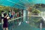 Cô giáo dạy bơi miễn phí và truyền cảm hứng cho các giáo viên tương lai