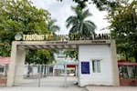 TH Phương Canh cho 3 đơn vị dạy 4 chương trình tiếng Anh, trường được bao nhiêu?
