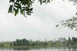 Khởi tố cụ ông 70 "chơi trò mèo chuột" làm bé gái mang thai
