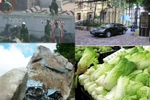 Hot nhất tuần: Bộ GTVT sẽ bán trụ sở, dân TP.HCM tẩy chay cải thảo