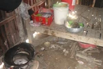 Cha mẹ qua đời, hai chị em thường xuyên nhịn đói đến trường
