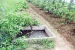 Vượt ngục chấn động ở VN:"Lặn" xuống hố phân hơn 10 giờ để trốn tù (I)