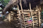 Một cô gái bị nhốt 3 năm trời trong cũi mà không ai "cứu"