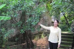 Thực hư ngọn núi chôn sống người đẹp ở Hà Nội 
