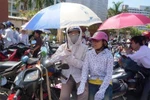 Mùa hè năm nay ít nóng hơn những năm trước