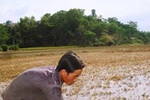 Đối mặt nạn đói vì đường chậm sửa 
