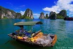 Bộ Giao thông Vận tải muốn đổ bùn lấp biển Cát Bà?