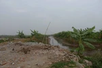 Cưỡng chế Tiên Lãng: Mẹ nguyên Phó Chủ tịch huyện "cầu cứu"