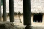 Học... trong nguy hiểm