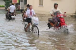 Cận cảnh học sinh thành phố Cần Thơ vượt lũ đến trường