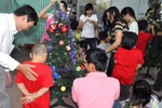 Coi chừng mắc bệnh từ cây thông Noel