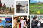 Mỹ trao thầu cho công ty TerraTherm xử lý dioxin tại Đà Nẵng