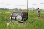 Ô tô đâm thiếu nữ đi bắt cua nguy kịch rồi lao xuống ruộng lúa