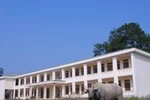 Trường tiền tỷ xây xong để … chăn trâu bò
