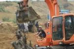 Quảng Bình: Gỗ sưa lại đang hút dân vào rừng tìm kiếm
