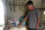 Nghệ An: Cán bộ xóm thu gạo hộ đói, bán phân hỗ trợ hộ nghèo