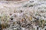 Trời đổ rét đột ngột về đêm, miền biên Nghệ An xuất hiện băng tuyết