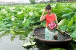 Trần Thị Thu Trang, Hà Nội, ĐH Thương mại (1528)