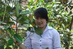 Cao Thị Yến, Bắc Giang, Đại Học Sao Đỏ (1883)