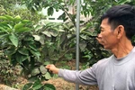 Hòa Phát nói không gây ô nhiễm, người dân nói bị khói bụi bủa vây