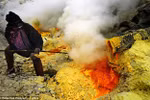 Ảnh: Nghề khai thác lưu huỳnh trên miệng núi lửa đang hoạt động