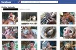 Tổ chức Giáo dục Thiên nhiên lên án vụ giết voọc đăng ảnh lên Facebook