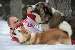 Ảnh: Putin chơi đùa trong tuyết với chó cưng