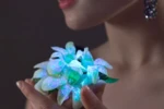 Công thức bí mật làm cho cây cỏ phát sáng