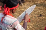 Ảnh: Thảm sát gia súc trong lễ hội tôn giáo ở Nepal 