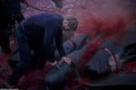 Ảnh: Người Đan Mạch lại thảm sát cá heo tại quần đảo Faroe