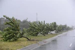 Ảnh bão Nari tàn phá Việt Nam trên báo nước ngoài